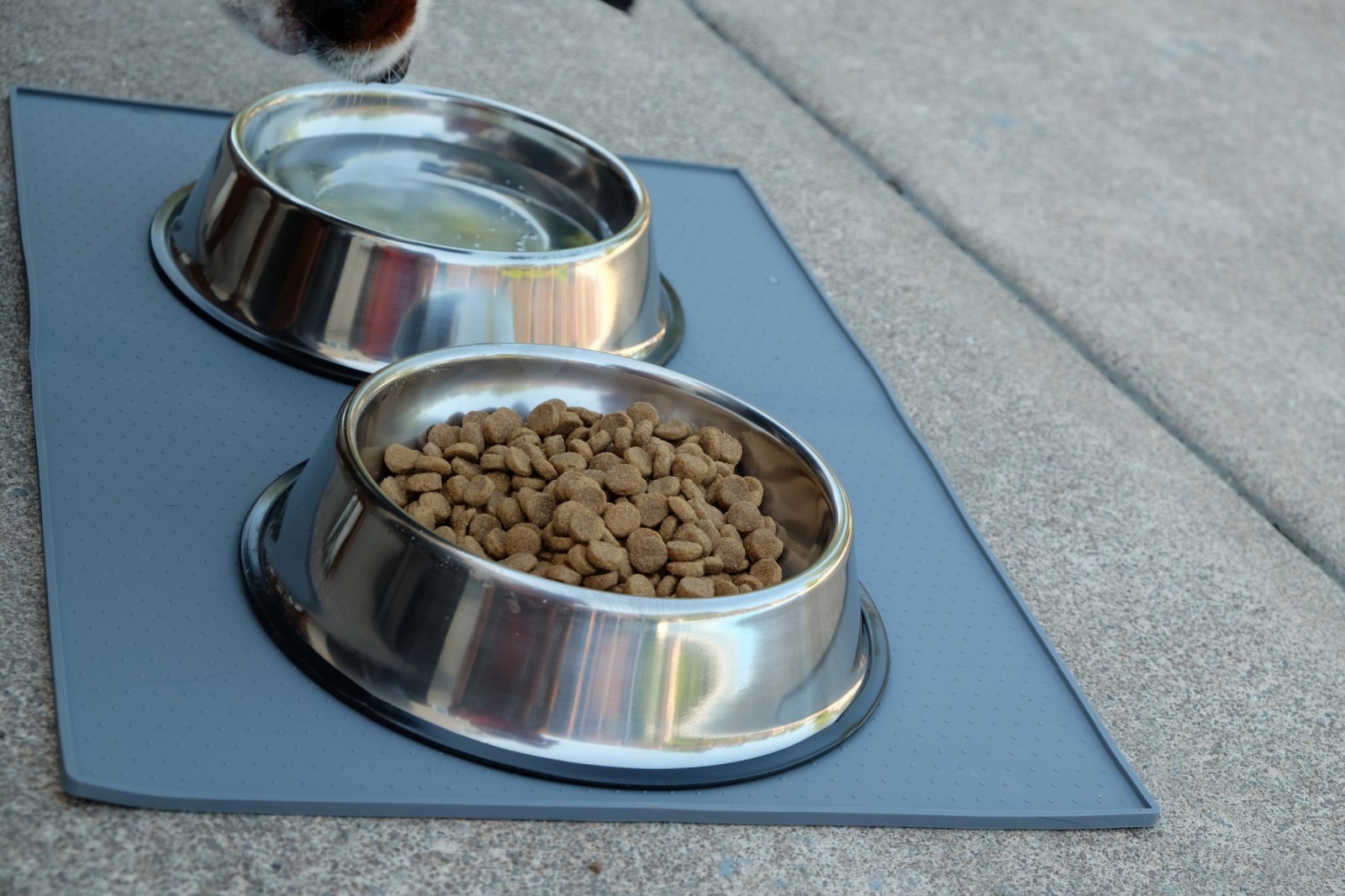 Awesome Silicone Pet Bowl Mats