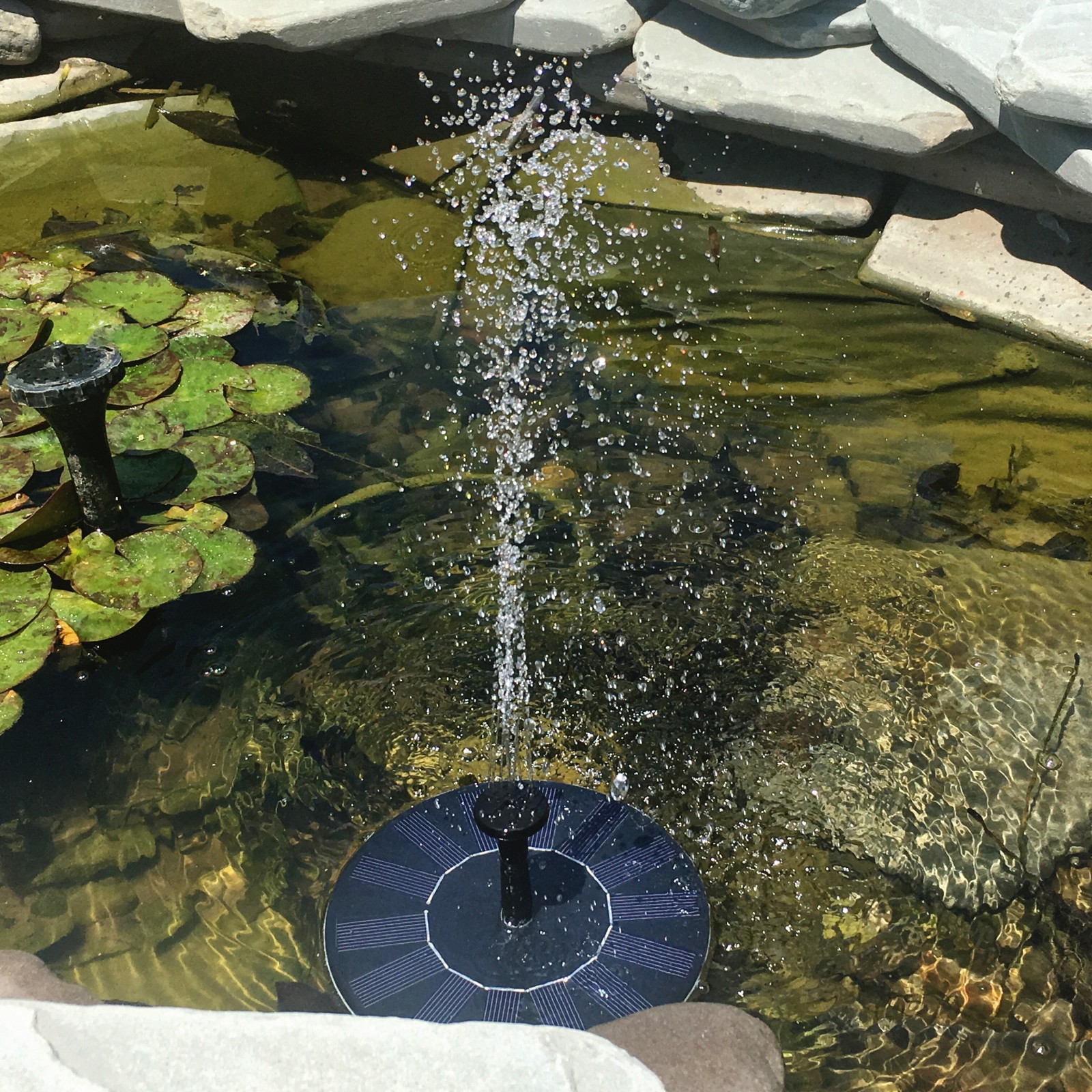 Great solar powered fountain pump!