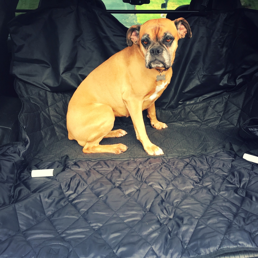 INNX Waterproof Quilted Dog Auto Car Seat Cover