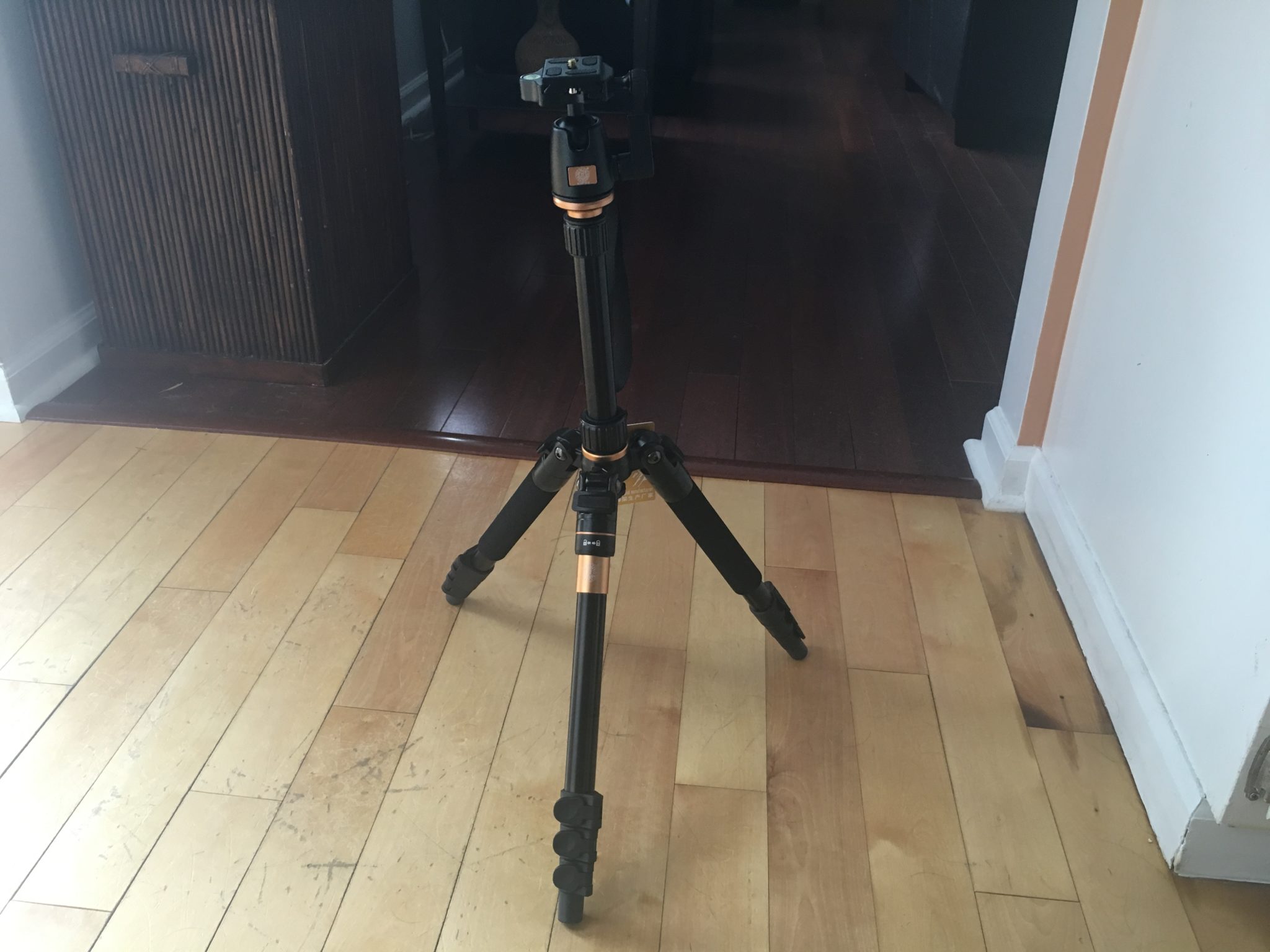 Portable Professional Tripod for Mirrorless, dSLR Cameras