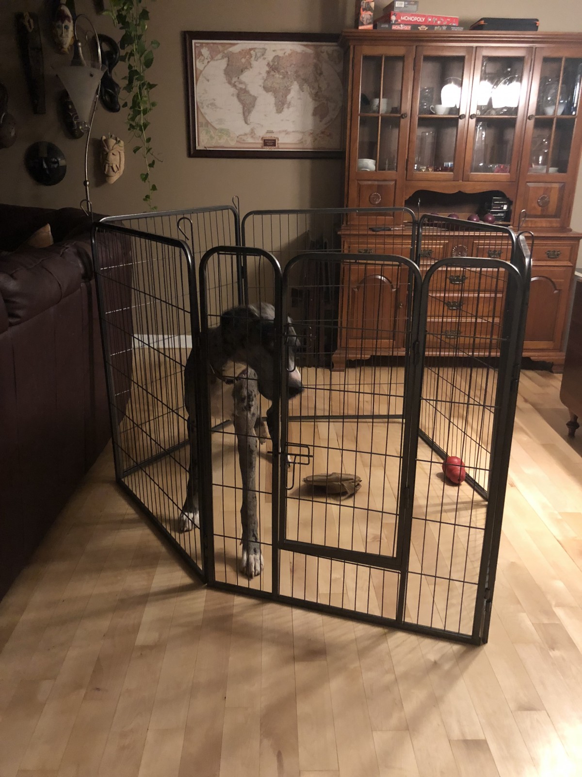 large dog pen