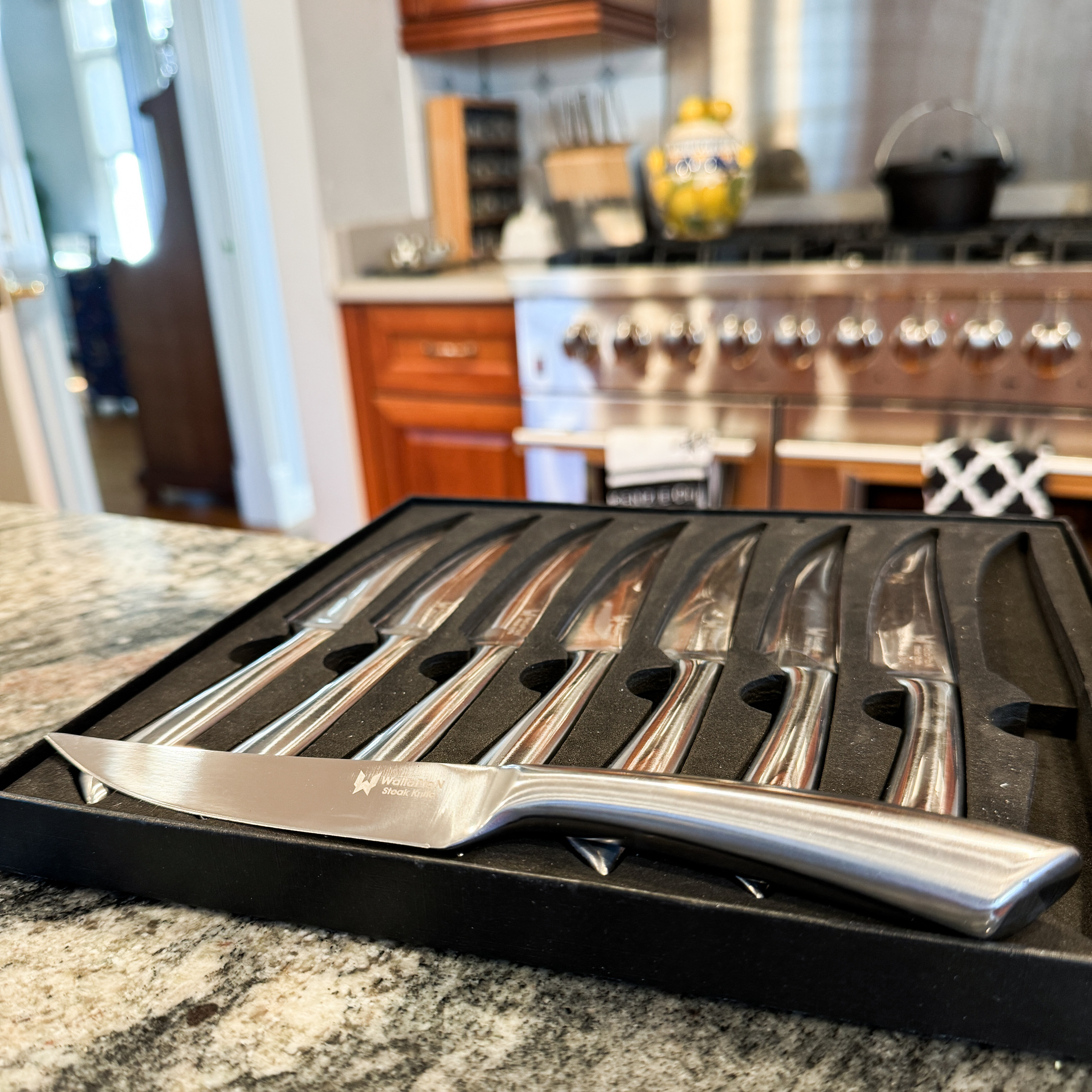 Good Steak Knives Set – Stainless Steel and Dishwasher Safe!